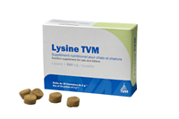 LYSINE CHAT (BOULETTES) B/30*2 G LYSINE CHAT (BOULETTES) B/30*2 G